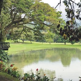 CLUB CAMPESTRE DE CALI